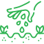 Toxumlar